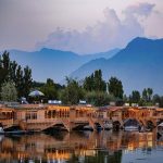 Kashmir-Profile-04-150x150 (1)