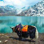 Sikkim-Profile-04-150x150